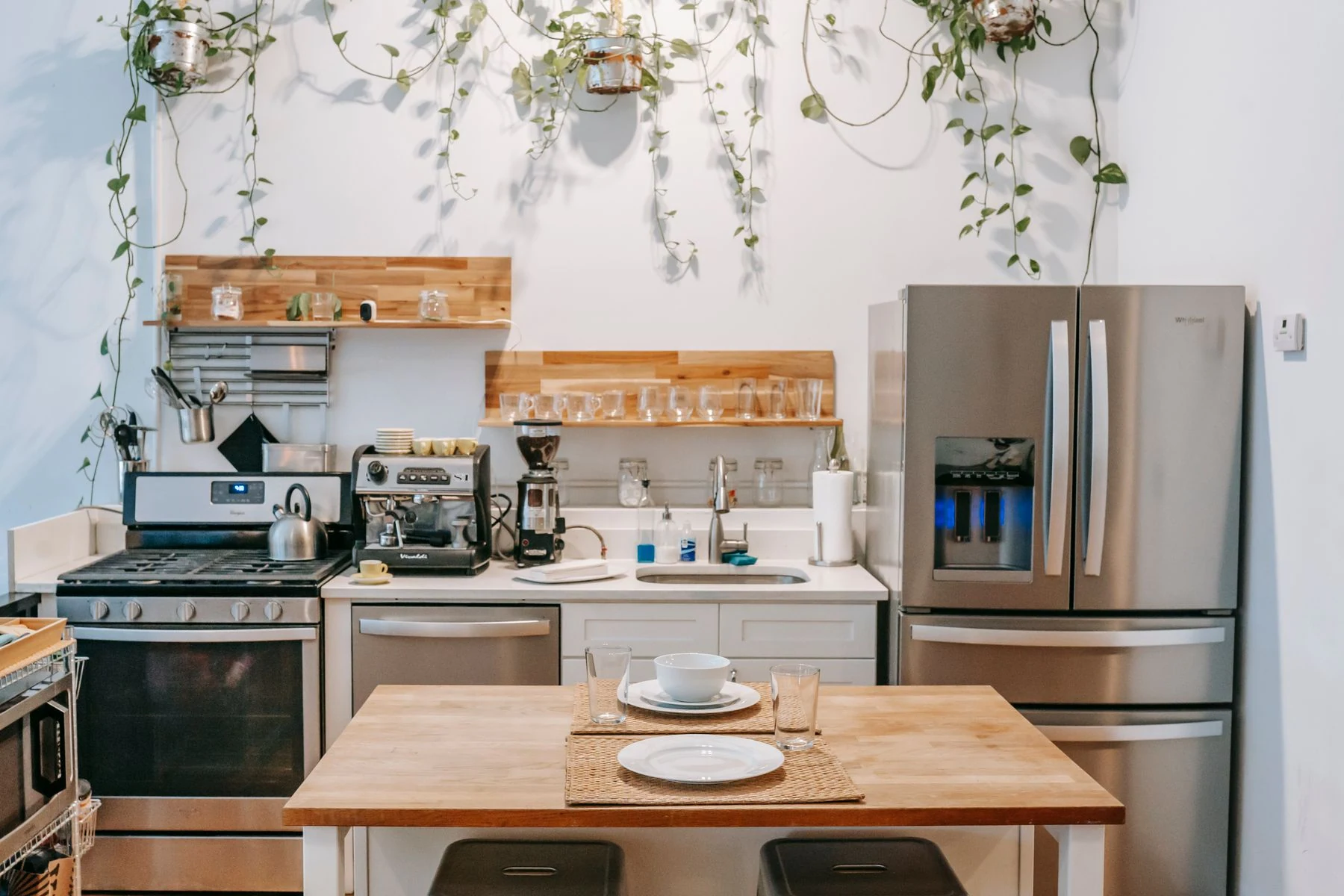 Contemporary kitchen interior featuring stainless steel appliances and hanging plants. Reference photograph for Atelier Sora.